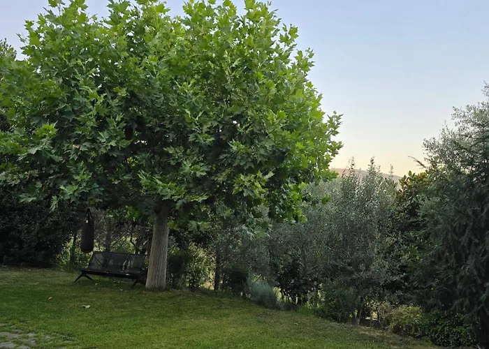 Villa Privacy Eco Of 2025 Teg Hill With No Neighbours Tirana