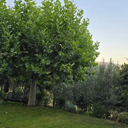 Vila Privacy Eco Of 2025 Teg Hill With No Neighbours Tirana