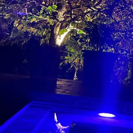 Privacy Eco 2026 Teg Hill,best In With No Neighbours Vila Tirana